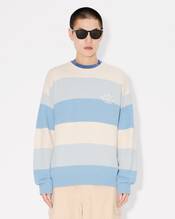 Embroidered stripes jumper in cotton blend