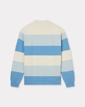 Embroidered stripes jumper in cotton blend