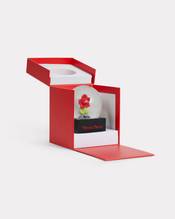 'KENZO VERDY MARKET' snow globe